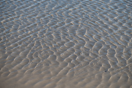 Gentle Waves Pattern on Sandy Beach near Piriapolis, Uruguayの写真素材