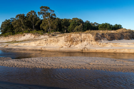 Serene riverbank with sandy shores and lush trees under clear blue skyの写真素材