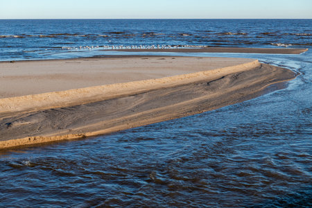 Tranquil beach shoreline with birds resting by the calm sea
