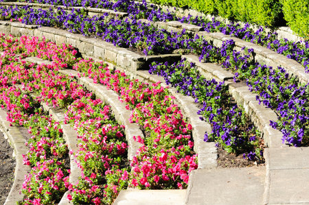 Sydney, New Sowth Wales, Australia. April 24, 2012: Colorful flower beds arranged in a tiered pattern at Sydney's Royal Botanic Garden.の写真素材