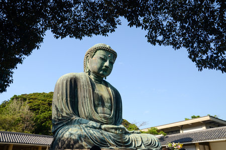 Great Buddha statue at K?toku-in temple, framed by greenery and a clear blue skyの写真素材