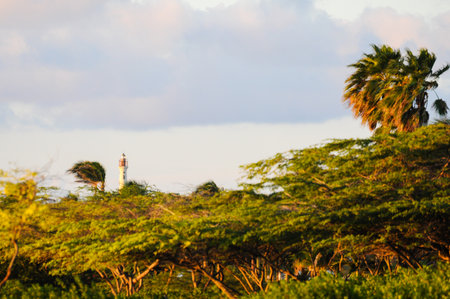 Lighthouse amid greenery under pastel skiesの写真素材
