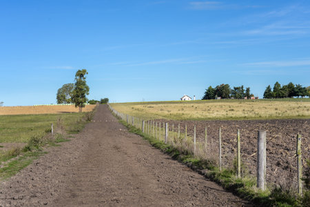 Dirt road to farmhouse with fields under clear blue skyの写真素材