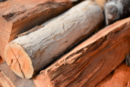 Close-up of stacked firewood with natural textures for rustic decorの写真素材