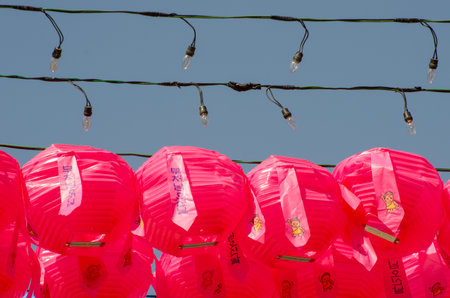Pink lanterns at South Korean temple celebration under blue skyの写真素材