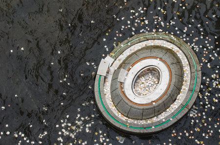 Circular drain with floating petals in urban waterwayの写真素材