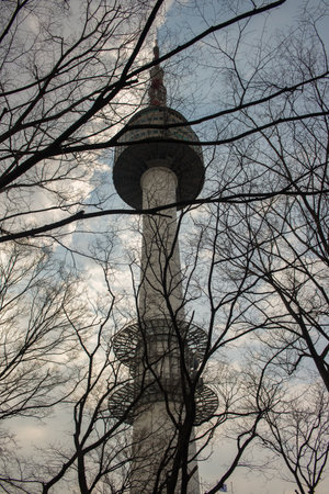 N Seoul Tower Silhouette Framed by Bare Branches Against Cloudy Sky