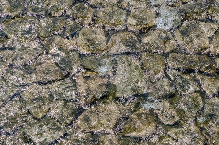 Ancient Stone Pathway Underwater Reflecting Light Pattern