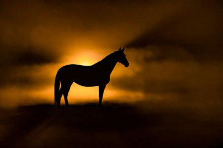 Silhouette of a horse on a dark background with fog.の写真素材