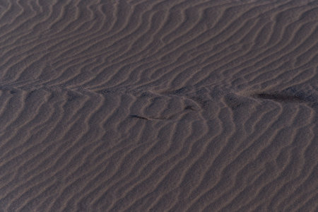 Sand texture, closeup of ripples in the sand at sunset