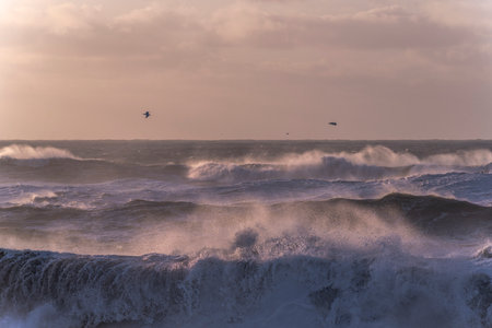 Big stormy waves breaking on the coast of Atlantic ocean, Portugalの写真素材