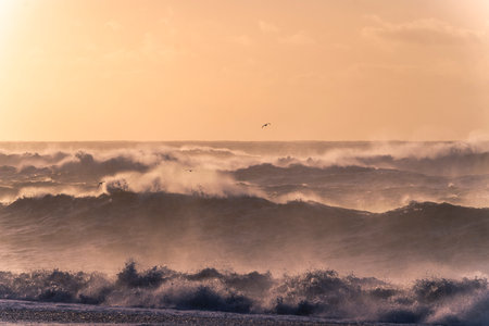 Beautiful sunset on the beach with waves and seagullsの写真素材