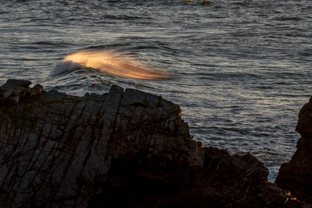 Waves breaking on the rocks at the beach in the evening.の写真素材