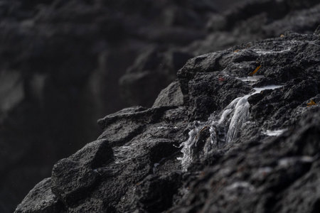 Close up of a black volcanic rock, black icelandの写真素材