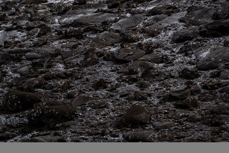 Icelandic landscape with black volcanic stones in Iceland. Toned.の写真素材