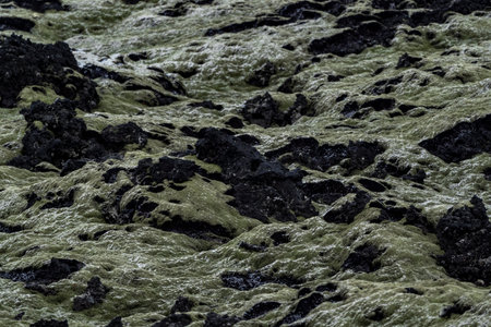 Icelandic landscape with green moss on volcanic rock. Toned.の写真素材
