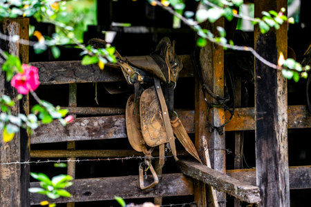 Old saddle on wooden fence, Thailand. (Selective focus)の写真素材