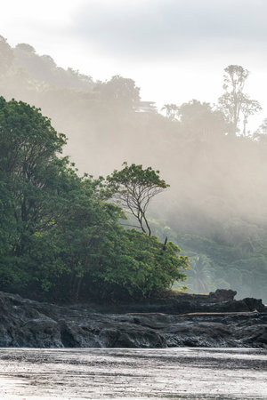 Beautiful landscape of the river and trees in the morning mist.の写真素材