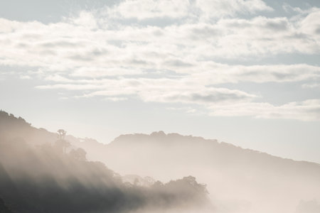 Morning mist on the mountain at Doi Pha Tang in Chiangrai province, Thailand.の写真素材