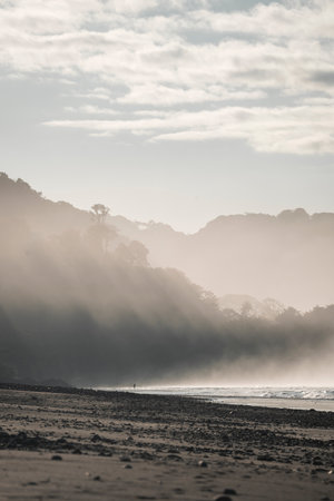 Tropical beach in the morning with fog and sunbeamsの写真素材
