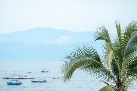 Coconut palm tree on the beach and the sea in Thailandの写真素材