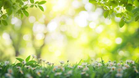 Green spring background with soft focus and bokeh, nature conceptの素材