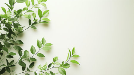 Creative layout made of green leaves on white background. Flat lay, top view. Nature concept.の素材