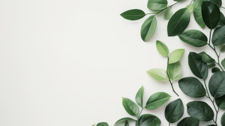 Creative layout made of green leaves on white background. Flat lay, top view minimal nature concept.の素材