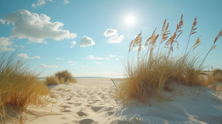 Sand dunes and grass on a sunny day. 3d renderingの素材