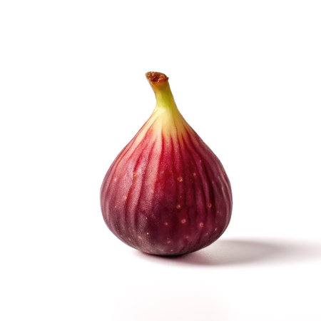 Fresh fig isolated on white background. Generative AIの素材
