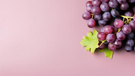Violet grapes on a pink background. Grapes with green leaves. Generative AIの素材