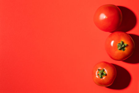 Tomatoes on red background. top view. flat lay. copyspace.の写真素材
