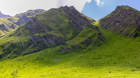 Mountain landscape. Green grass on the slopes of the mountainsの写真素材