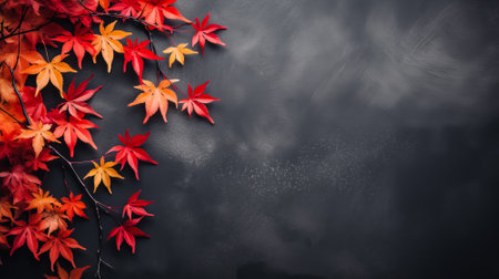 Autumn background with colored red leaves on grey slate background top view copy spaceの素材