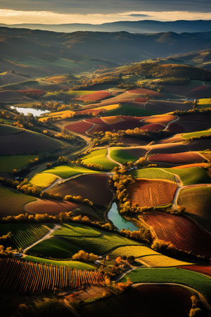 An aerial view of vibrant vineyards in autumn hues showcasing natures stunning display of colors and the harvest seasons arrivalの素材