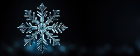 Glowing snowflake captured in the night isolated on a black to white gradient backgroundの素材