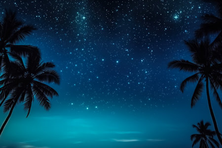 Starry night sky on New Years Eve in a tropical location background with empty space for textの素材