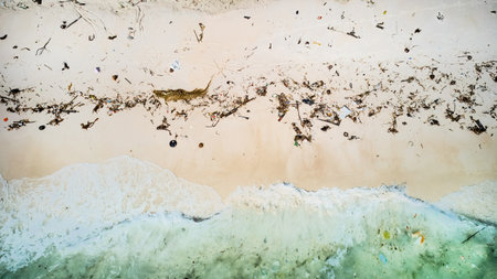 Aerial view of a polluted beach with seaweed and trash washed ashore, highlighting environmental...