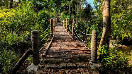 A tranquil wooden rope suspension bridge nestled in a lush green tropical forest settingの写真素材