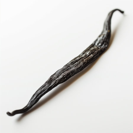 A whole vanilla bean pod isolated on a transparent backgroundの素材