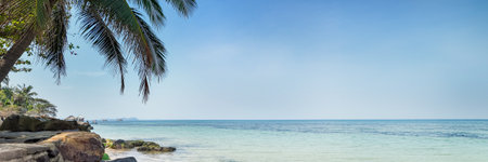 Tranquil tropical beach with clear blue sky, palm trees, and calm turquoise sea, ideal for travel and summer holiday conceptsの写真素材