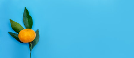 Minimalistic flat lay of a fresh tangerine with leaves on a vibrant blue background with ample space for text, ideal for healthy lifestyle or nutrition conceptsの写真素材