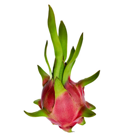 Fresh whole dragon fruit isolated on a white background with ample copy space, ideal for tropical fruit and healthy eating conceptsの写真素材