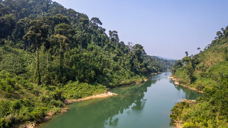 Landscape view of Mekong river and forest in Laos, Asiaの写真素材