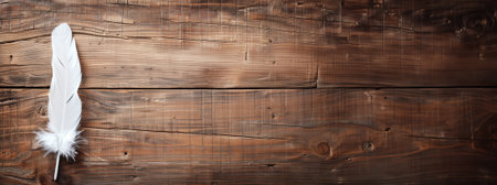 Feathers on old wooden background, top view. Space for textの素材
