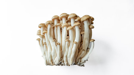 A cluster of fresh shimeji mushrooms isolated on a white background with space for text, suitable...
