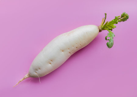 Fresh white daikon radish with green leaves on a vibrant pink background, ideal for healthy food...