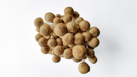 Cluster of dried longans on a white background with space for text, ideal for food related concepts...