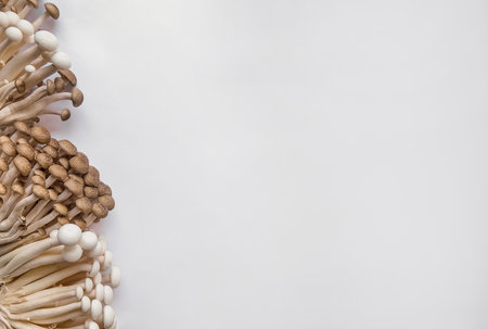Assorted edible mushrooms on a white background with copy space, perfect for culinary concepts and...