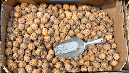 A heaping scoop of rustic walnuts spills treasure like, invoking the Harvest Moon Festival and World Walnut Day celebrationsの写真素材